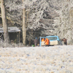Maibaum-umschneiden-2025IMG_8571