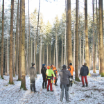 Maibaum-umschneiden-2025IMG_8579