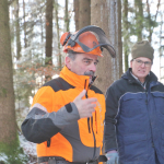 Maibaum-umschneiden-2025IMG_8592