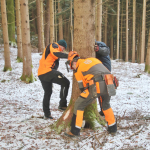 Maibaum-umschneiden-2025IMG_8594