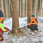 Maibaum-umschneiden-2025IMG_8599
