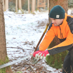 Maibaum-umschneiden-2025IMG_8603