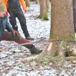 Maibaum-umschneiden-2025IMG_8615