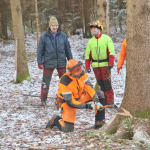 Maibaum-umschneiden-2025IMG_8632
