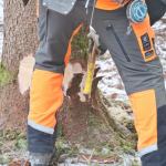 Maibaum-umschneiden-2025IMG_8637