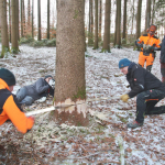 Maibaum-umschneiden-2025IMG_8657