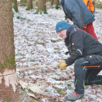 Maibaum-umschneiden-2025IMG_8659