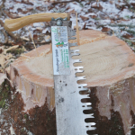 Maibaum-umschneiden-2025IMG_8687