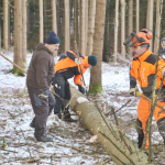 Maibaum-umschneiden-2025IMG_8715