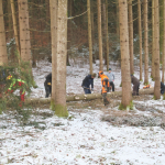 Maibaum-umschneiden-2025IMG_8724