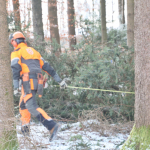 Maibaum-umschneiden-2025IMG_8735