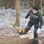 Maibaum-umschneiden-2025IMG_8752