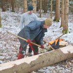 Maibaum-umschneiden-2025IMG_8779