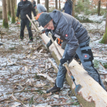 Maibaum-umschneiden-2025IMG_8785