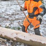 Maibaum-umschneiden-2025IMG_8800