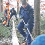 Maibaum-umschneiden-2025IMG_8811