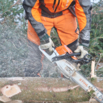 Maibaum-umschneiden-2025IMG_8859