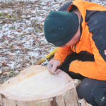 Maibaum-umschneiden-2025IMG_8882