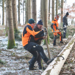 Maibaum-umschneiden-2025IMG_8902