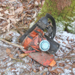 Maibaum-umschneiden-2025IMG_8907