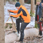 Maibaum-umschneiden-2025IMG_8909