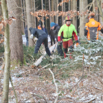 Maibaum-umschneiden-2025IMG_8916