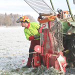 Maibaum-umschneiden-2025IMG_8928