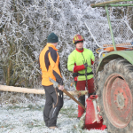 Maibaum-umschneiden-2025IMG_8940