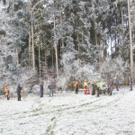 Maibaum-umschneiden-2025IMG_8943