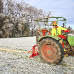 Maibaum-umschneiden-2025IMG_8949