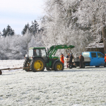 Maibaum-umschneiden-2025IMG_8953
