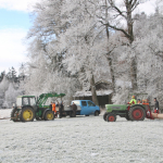 Maibaum-umschneiden-2025IMG_8961