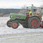 Maibaum-umschneiden-2025IMG_8963