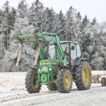 Maibaum-umschneiden-2025IMG_8974