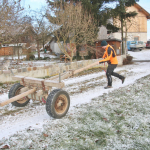 Maibaum-umschneiden-2025IMG_8990