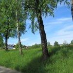 MariaEck2019IMG_4223
