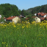 MariaEck2019IMG_4225