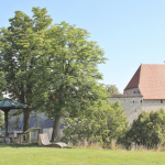 Mattinee-Burg-2025IMG_46811b