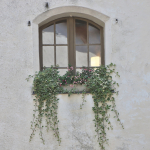 Mattinee-Burg-2025IMG_4984