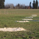 Preisschnalzen-2020IMG_6100