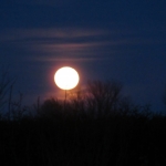 Preisschnalzen-2020IMG_7266