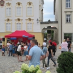 Stadtfest-2019IMG_5859