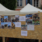 Stadtfest-2023IMG_4659