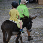 Stadtfest-2023IMG_4753