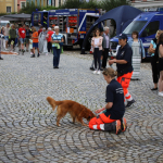 Stadtfest-2023IMG_5020