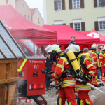Stadtfest-2023IMG_7298