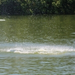 Stand-up-Paddling-2019IMG_1929