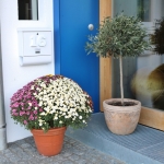 Tag-der-offen-Tür-Lechner2019IMG_7258