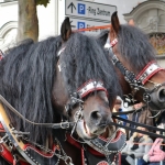 Vereinsausflug2019IMG_9679