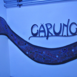 Vereinsausflug-2025IMG_5354